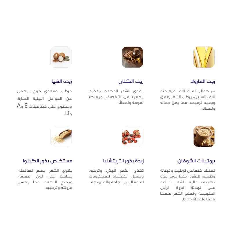 شامبو Perfect Moisture لتغذية وترطيب الشعر من DCM