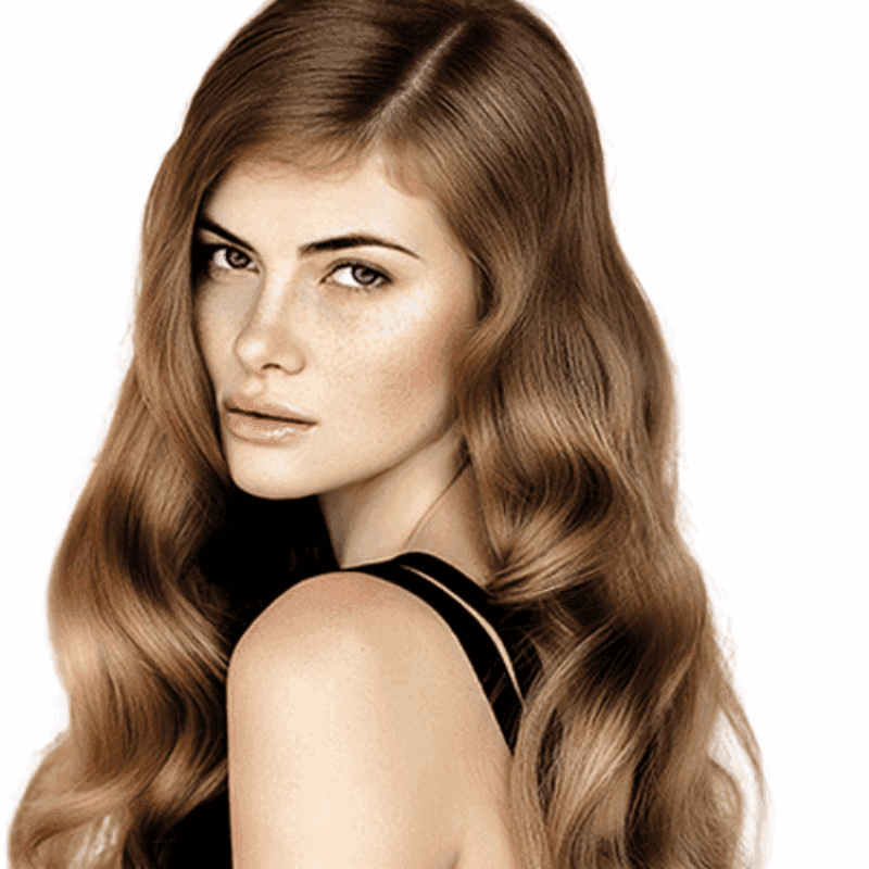 شامبو Perfect Moisture لتغذية وترطيب الشعر من DCM